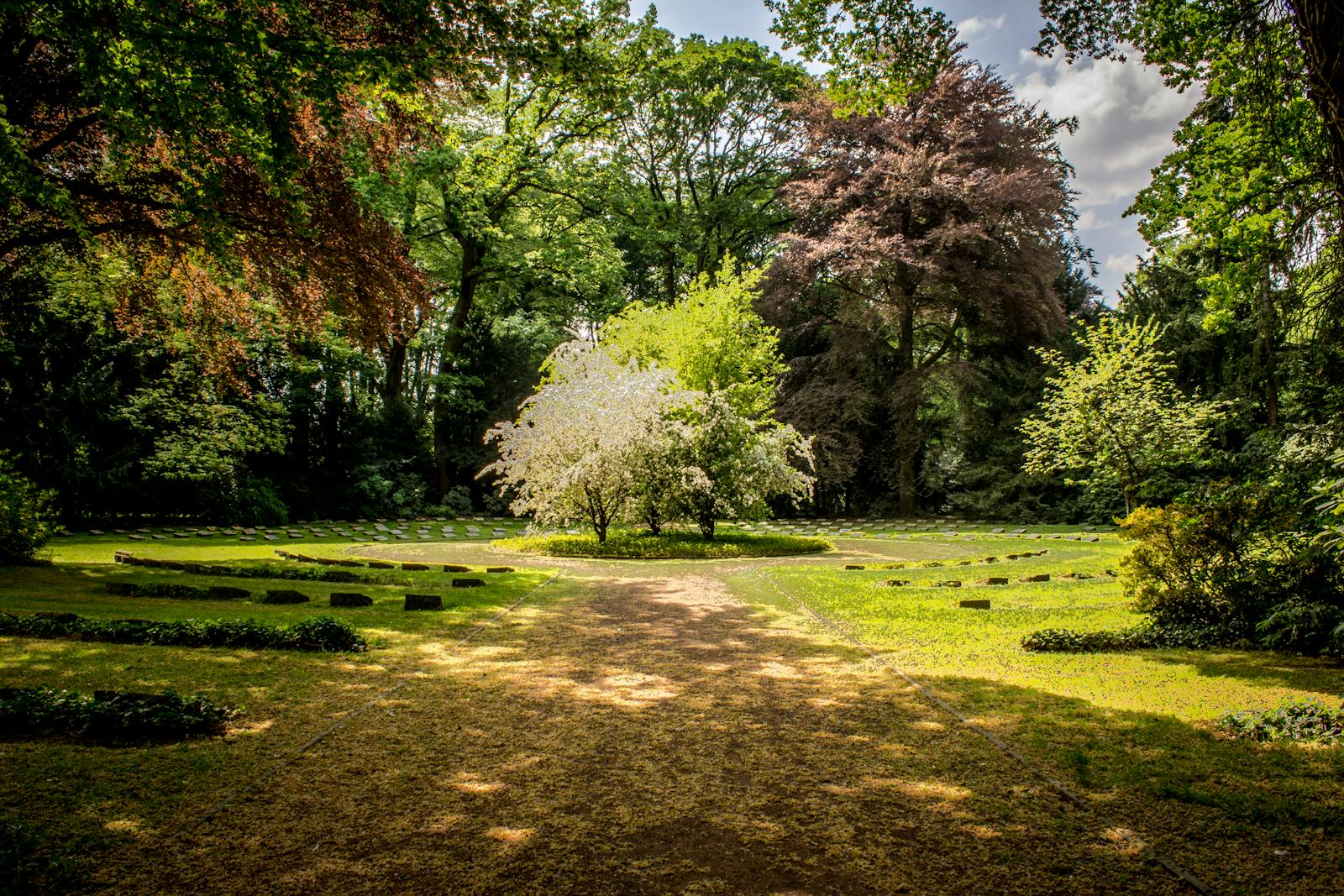 Beautiful garden with lush greenery and blooming trees under a sunny sky.