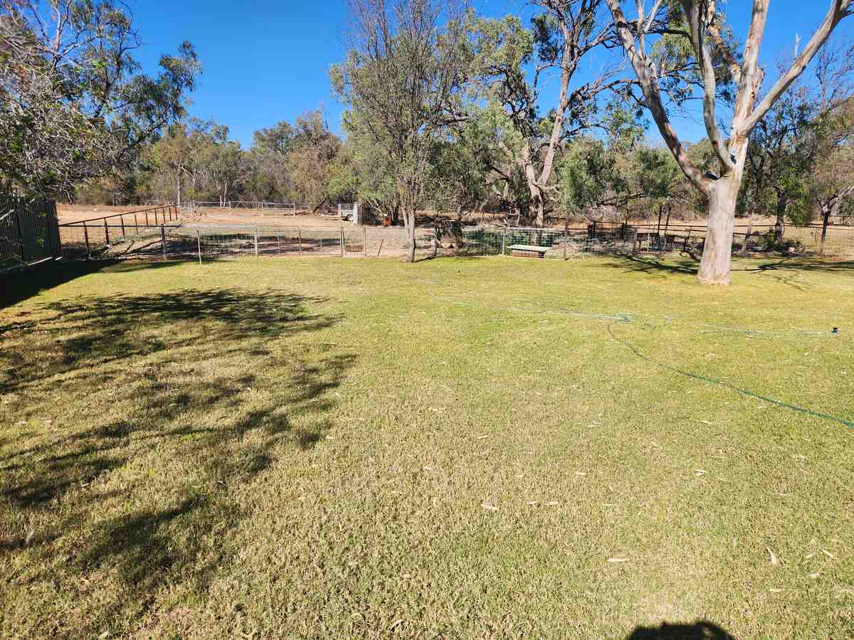 168 Shamrock Street Blackall