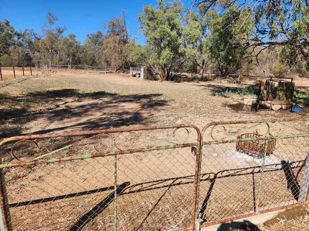 168 Shamrock Street Blackall