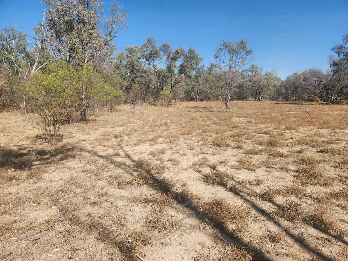 168 Shamrock Street Blackall